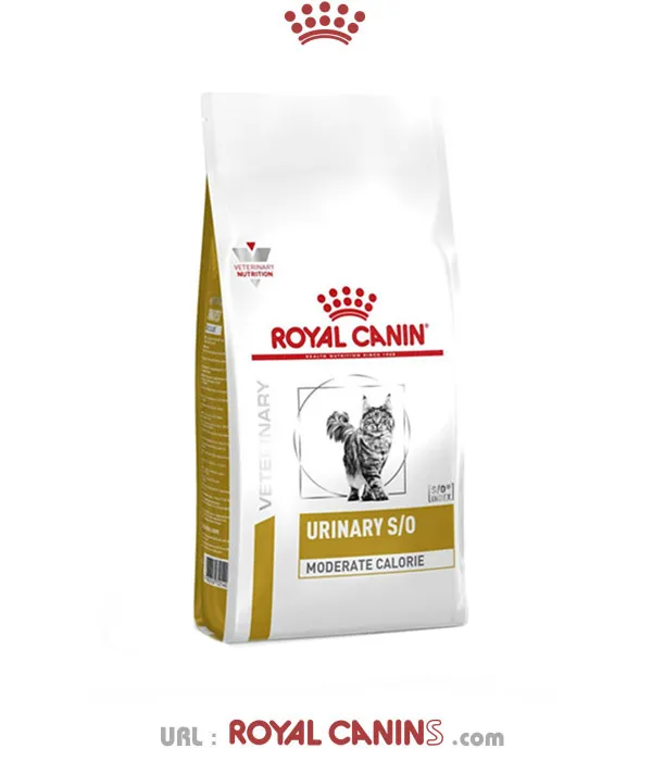 گربه یورینری مدریت رویال گربه یورینری مدریت رویال