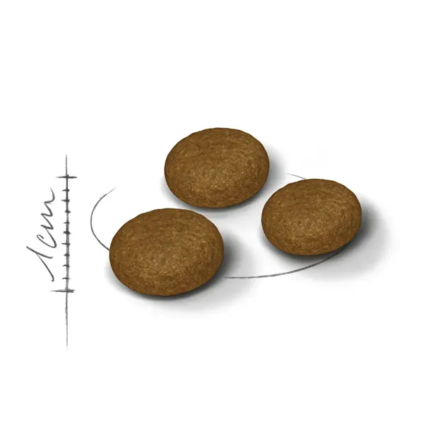 دانه بندی فاسی اگزیجنت رویال دانه بندی فاسی اگزیجنت رویال