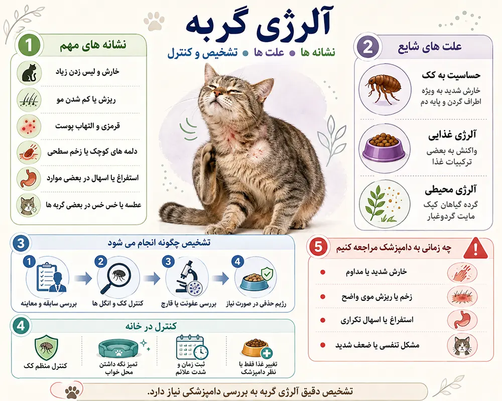 آلرژی گربه
