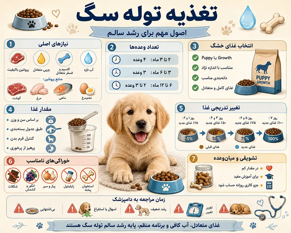تغذیه توله سگ